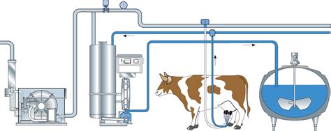Collection And Reception Of Milk Dairy Processing Handbook