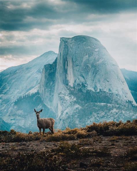 Lennart Pagel 📍germany On Instagram A Wild Life We Get To Live