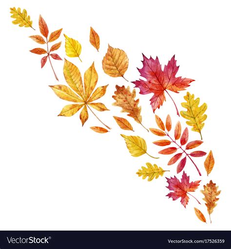 Watercolor Fall Leaves Set Royalty Free Vector Image