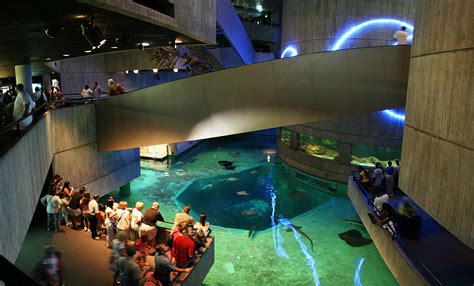 National Aquarium In Baltimore Inner Harbor Md 03 A Photo On
