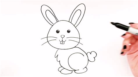 How To Draw A Bunny 🐇bunny Drawing Simplesuper Easy Drawings For Kids