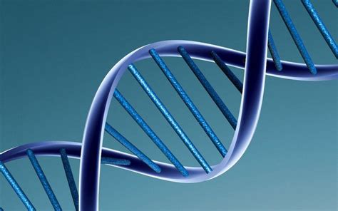 5 Weird Facts About Human Dna The Crazy Facts