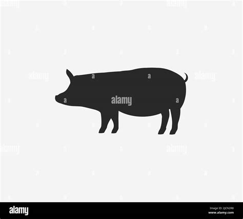 Vector Pig Silhouette Pig Silhouette Icon Isolated Vector Design And