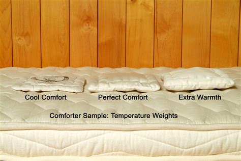 Certified Organic Wool Comforter Soaring Heart Natural Bed Company