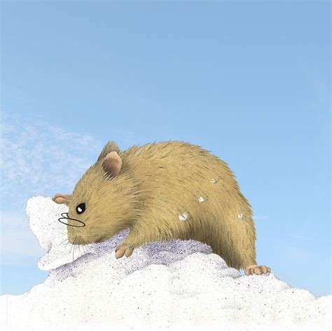 Hamster Playing Outdoors In Snow Stock Images