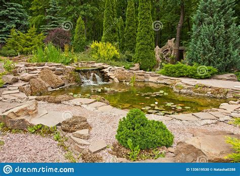 Landscape Design View Of Small Pond With Water Lilies And Small