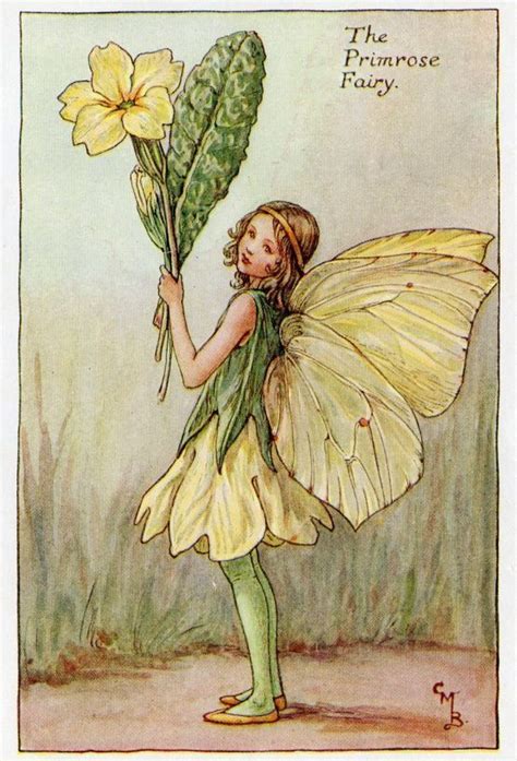 Primrose Flower Fairy Vintage Print C1927 Cicely Mary Barker Book