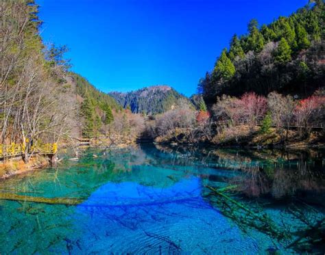 Travel Guide To Jiuzhaigou National Park A Natural Wonder In China