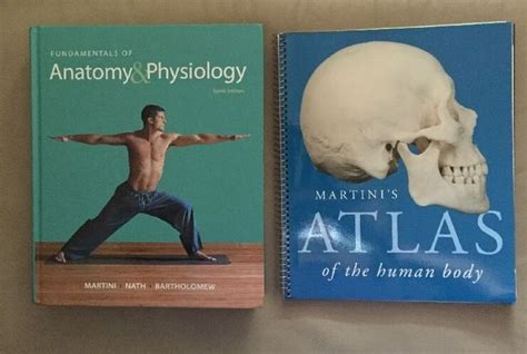 Fundamentals Of Anatomy And Physiology 10th Ed By Martini Textbook