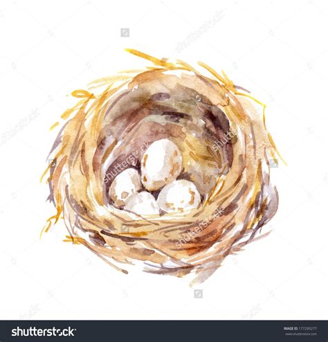 Straw Birds Nest With Eggs Watercolor Hand Painting Egg Watercolor