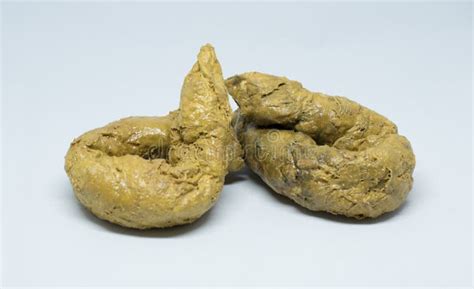 Real Feces On White Background Stock Image Image Of Concept Real