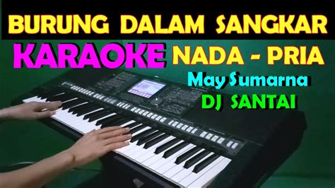 Lagu dari album 18 hits melody memory, vol. Burung Dalam Sangkar Lirik - Jenis Burung