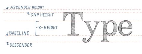 The Anatomy Of Typography Ipad Calligraphy