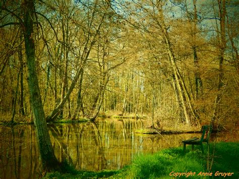 Wallpaper Trees France Green Nature Water Yellow Jaune