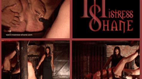 Mistress Shane Mistress Shane Slaves Part 8 Window Media Video
