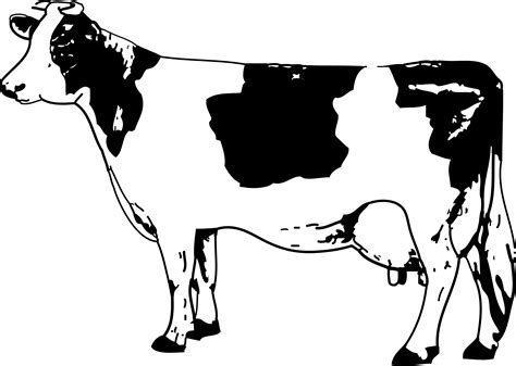 Clipart milk cow gives milk, Clipart milk cow gives milk 