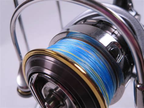 Pe H Daiwa Luvias