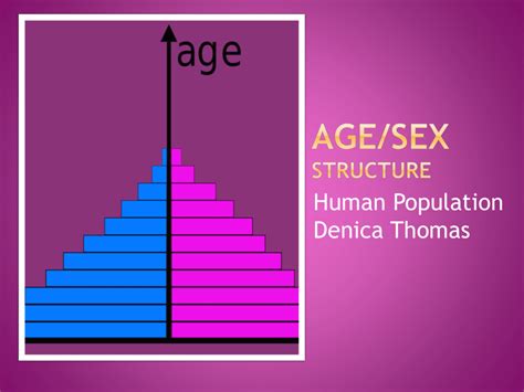 Agesex Structure Capeenvironmentalscience