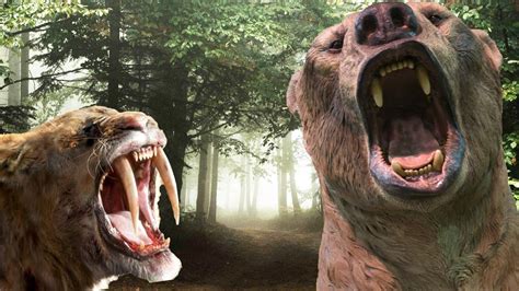 Largest Extinct Bear Vs Prehistoric Big Cats Size Comparison Youtube