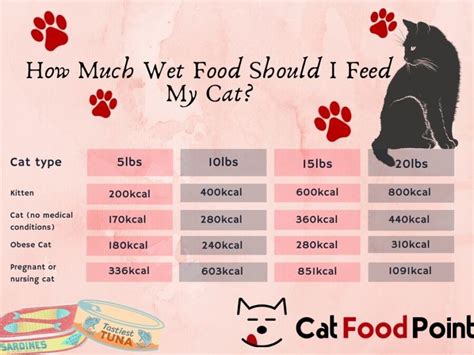 How Much Wet Food To Feed A Cat Per Day Ultimate Guide 2023 Chart
