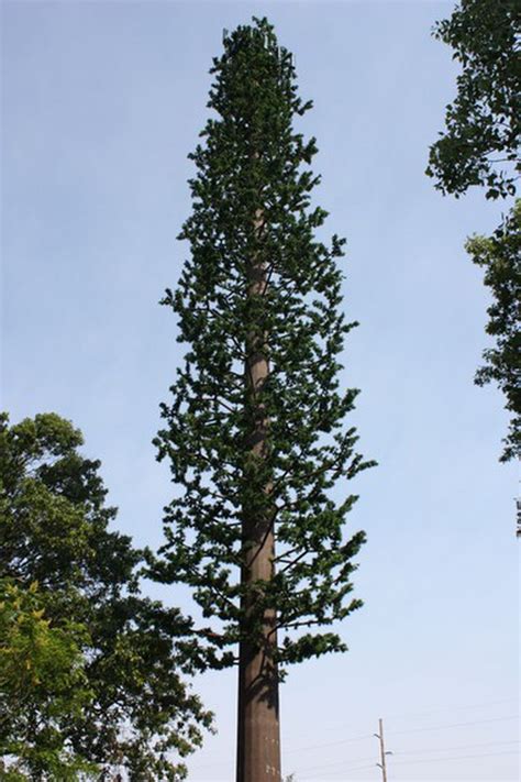 A Cell Phone Tower Resembling A Pine Tree Portage Gets Kalamazoo Area