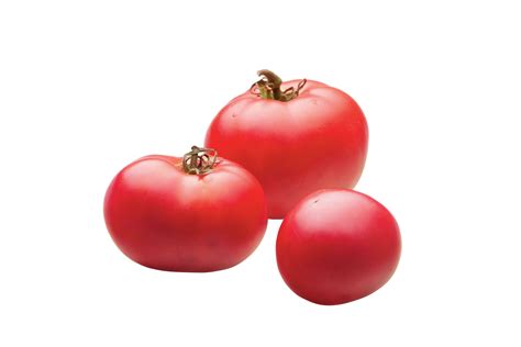 Best Heirloom Tomatoes to Grow | Growing organic tomatoes, Heirloom tomatoes, Heirloom tomatoes 