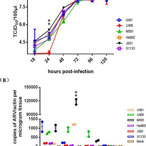 Viral Replication Of Arv Isolates And S1133 In Vitro And In Vivo The