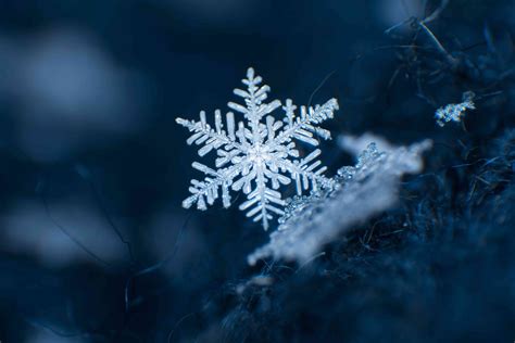 13 Perfect Snowflakes Captured In Photos