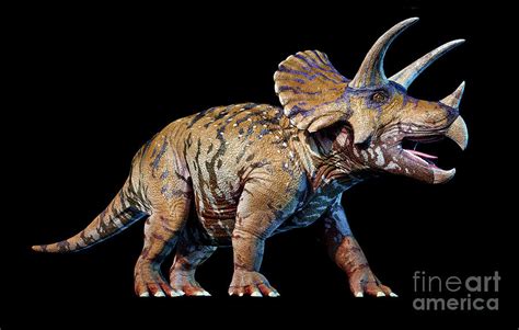 Triceratops Dinosaur Photograph By Leonello Calvettiscience Photo