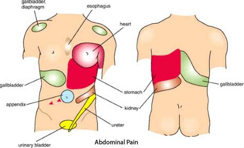 Give or take depending on how bad your injury was. Upper Right Abdominal Pain by telman Blog entry