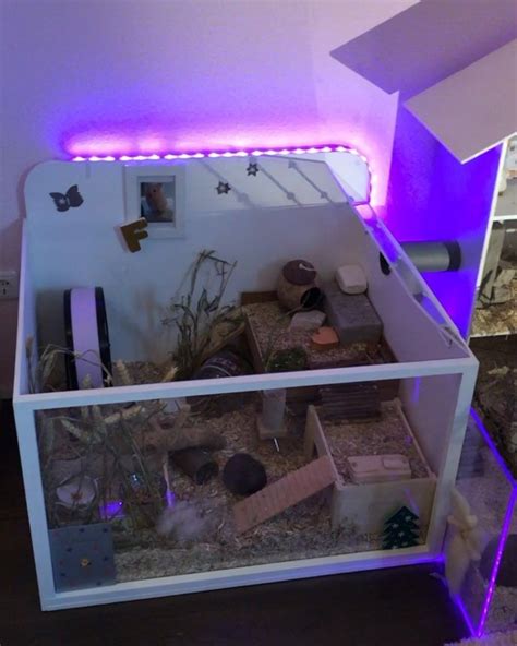 Natural Hamster Cage Ideas Including 13 Examples To Inspire You