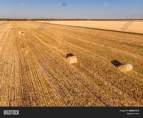 Aerial View Harvested Image And Photo Free Trial Bigstock