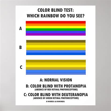 Color Blind Test Which Rainbow Do You See Posters Zazzle
