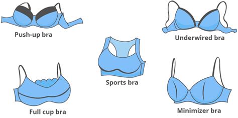 Most Common Breast Shapes Sekachamp
