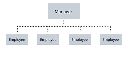 Flat Organizational Structure Definition Chart Examples Lesson