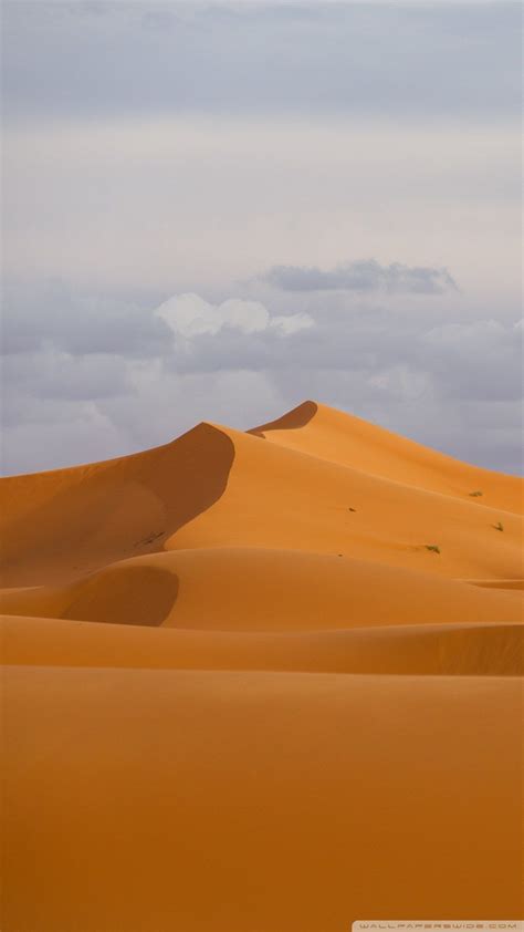 sahara desert wallpaper