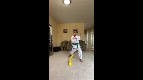 Karate Practice With Praachi Stepping Punch And High Block Pt 1