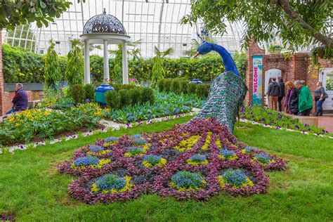 봄이 오나 봄 / bomi ona bom. Spring Flower Show: Gardens of the Rainbow | Phipps ...