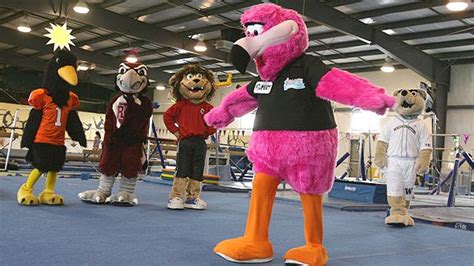 Readers Help Us Pick Top 10 Worst College Mascots Page 2 Espn