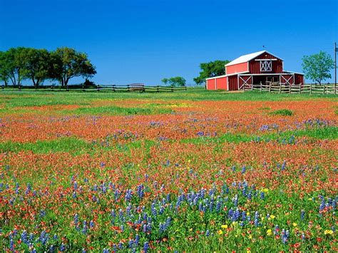 Barns Spring Barn Hd Wallpaper Pxfuel