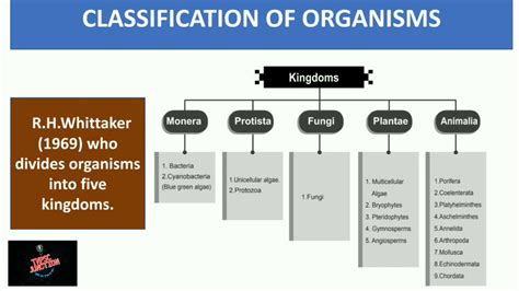 Unit 1 Classification Of Living Organisms Part 2 Tnpsc Youtube