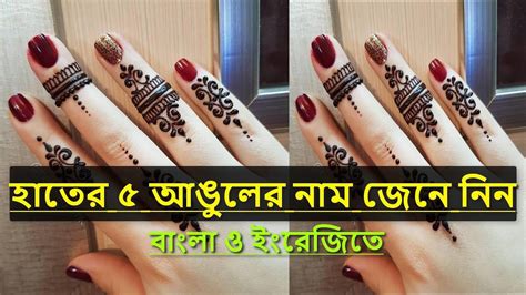 হাতের পাচ আঙুলের নাম বাংলা ও ইংরেজিতে Hand Finger Name In Bangla