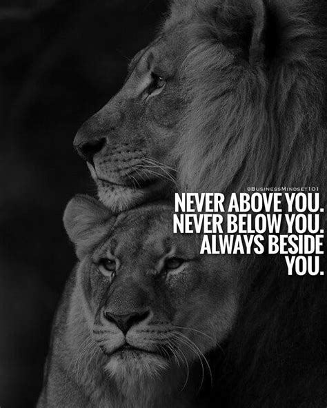🙌tag Your Friends And Loved Ones Lion Quotes Lioness Quotes Warrior Quotes