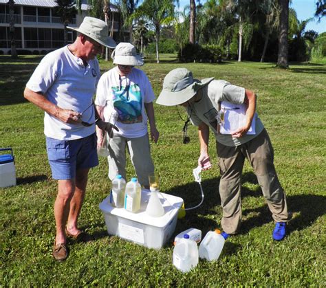 Improving Water Quality At Wildflower Preserve Lemon Bay Conservancy