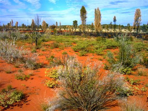 Bush Outback Red Desert Central Australia A Photo On Flickriver