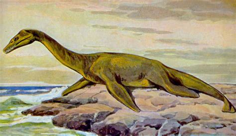 Top 10 Plesiosaur Characteristics That Have Helped It Survive