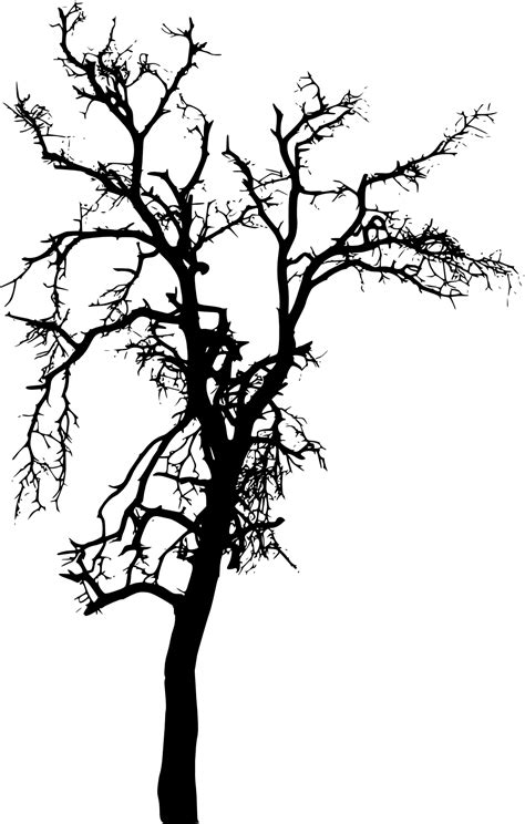 This entry was posted in png files and tagged bare, silhouette, tree on december 15, 2017 by zolee. 18 Bare Tree Silhouette (PNG Transparent) Vol. 2 | OnlyGFX.com