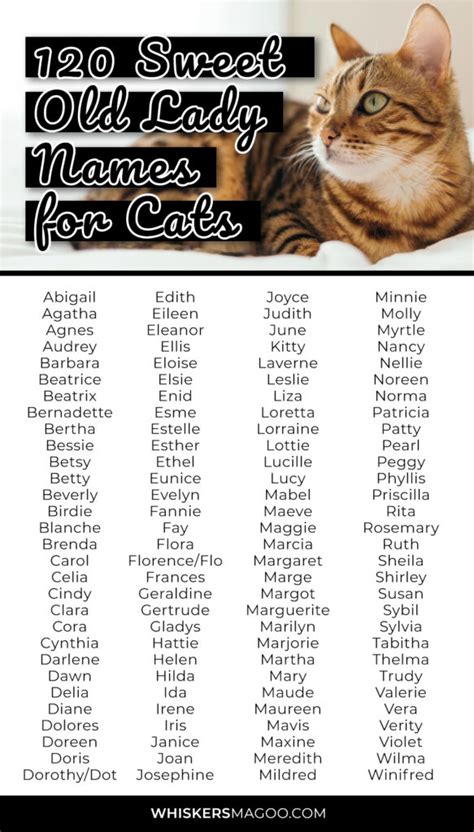120 Sweet Old Lady Names For Cats Whiskers Magoo