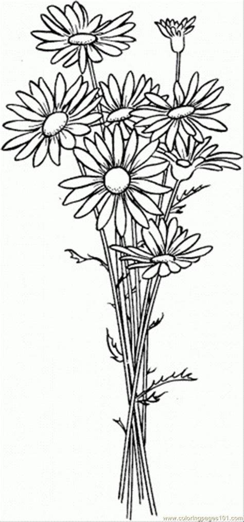 With this free relaxation and antistress app you will aesthetic coloring pages helps you to relax and feel better. Daisy Flower Drawing Simple Daisy Drawing | Free Flower Templates And Designs | Idées | Flower ...