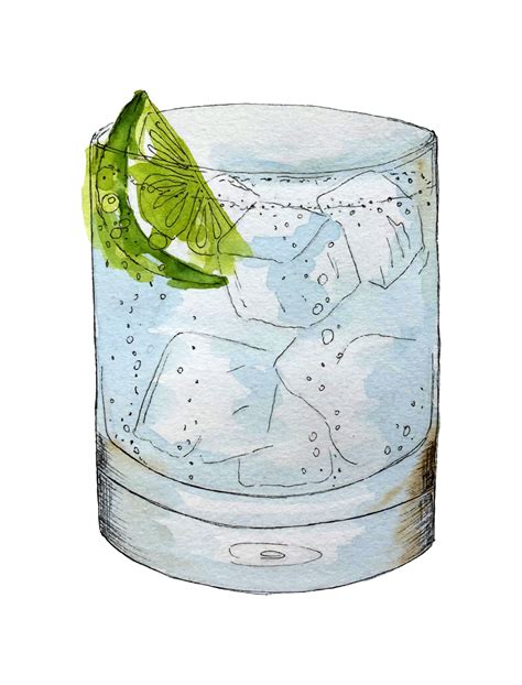 Gin And Tonic Cocktail Vector Drink Watercolor Hand Drawing Sketch